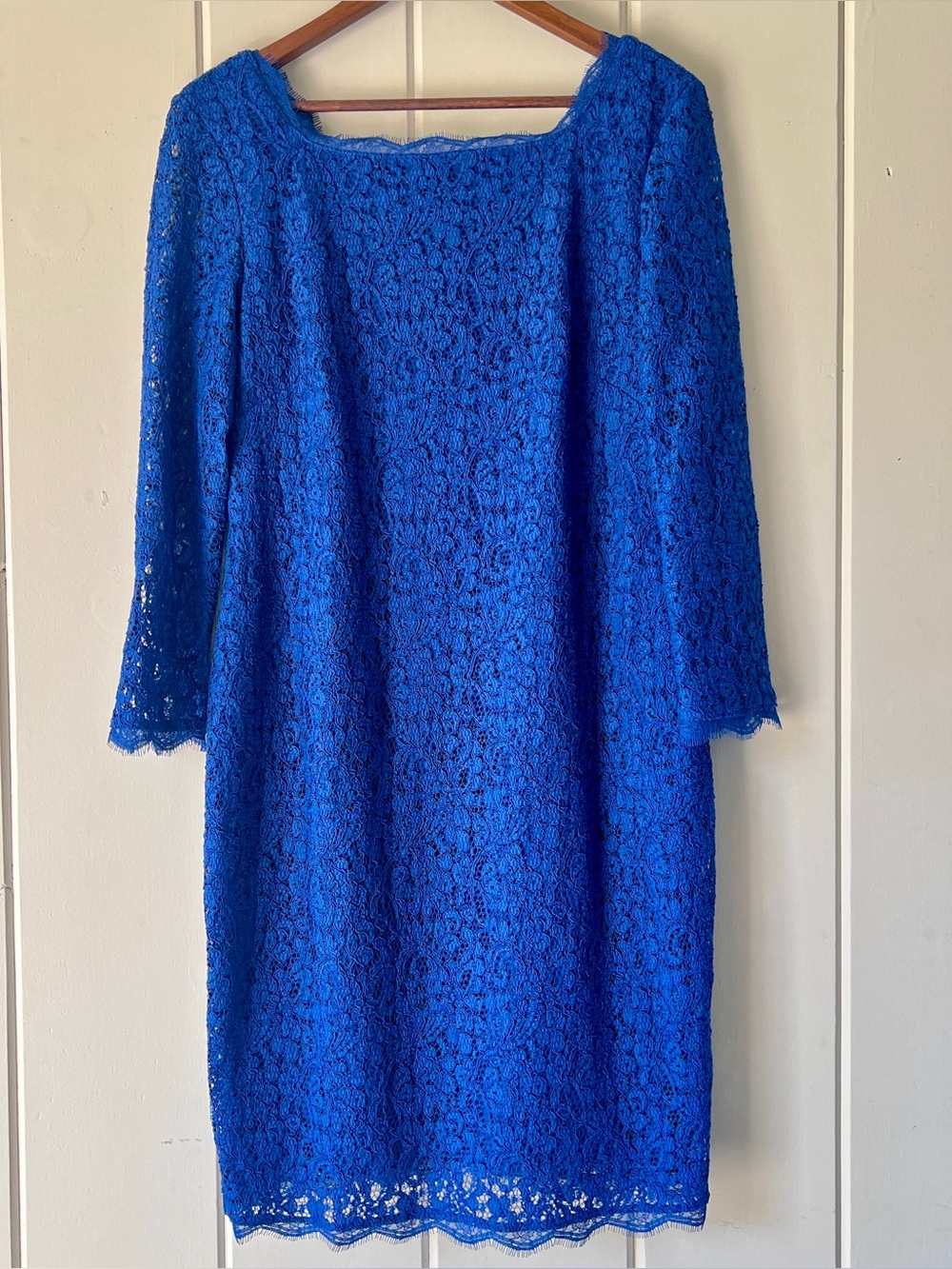 Adrianna Papell Cobalt Blue Lace Sheath Dress Size 16